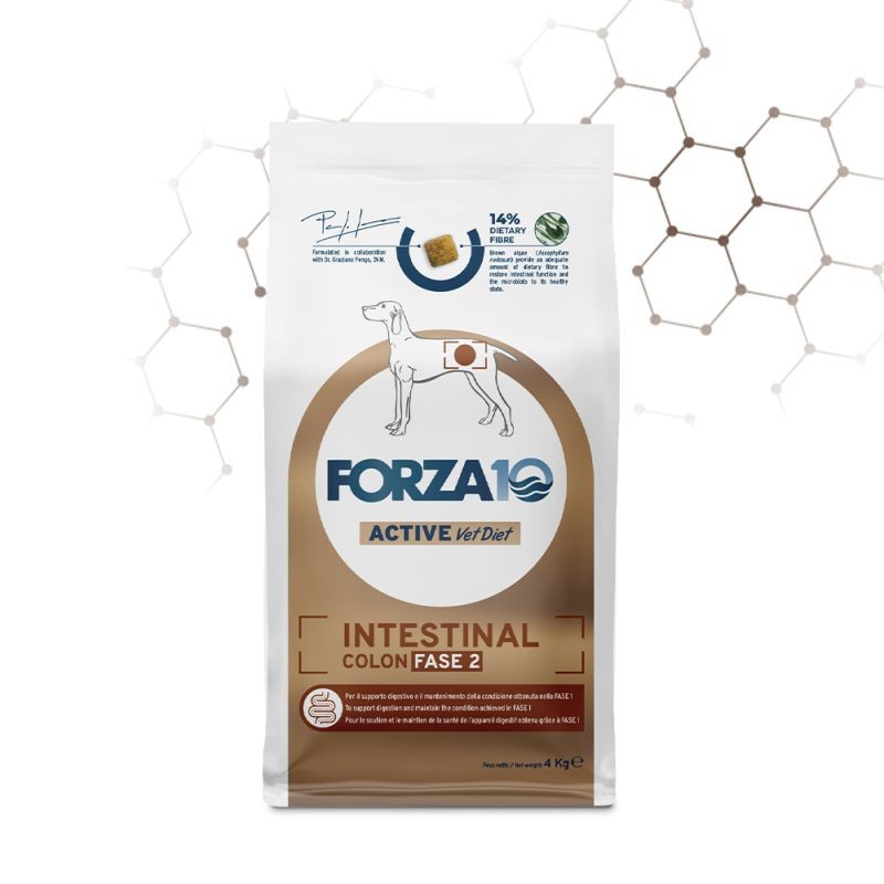 Forza10 Cane Veterinary Intestinal Colon Fase 2 4 kg