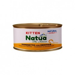 Natua Gatto Kitten Lattina...