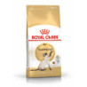 Royal Canin Gatto Siamese 2Kg