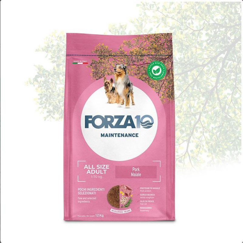 Forza10 Cane Maintenance All Size Adult 12 kg Maiale