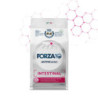 Forza10 Gatto Veterinary Intestinal Adult 400gr Pesce