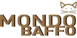 Mondo Baffo